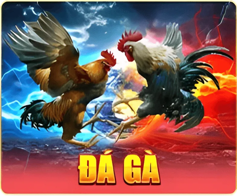 s666 da ga