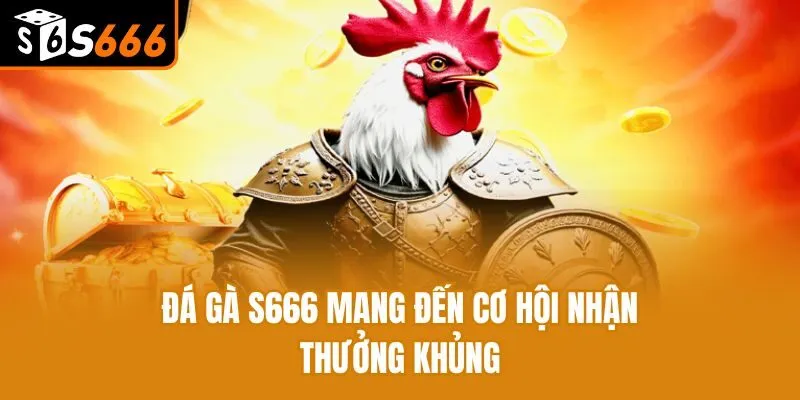 Đá Gà Trực Tuyến - Mãn Nhãn Cùng Chiến Kê Siêu Dũng Mãnh Đá gà S666 mang đến cơ hội nhận thưởng khủng