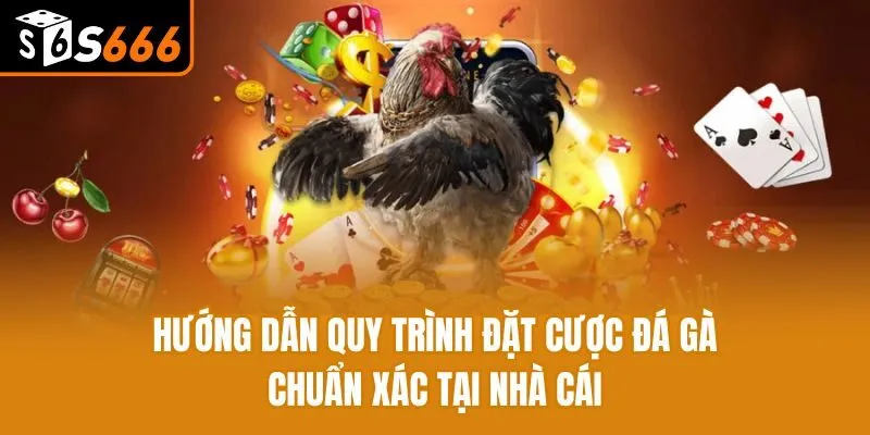 Hướng dẫn quy trình đặt cược đá gà chuẩn xác tại nhà cái